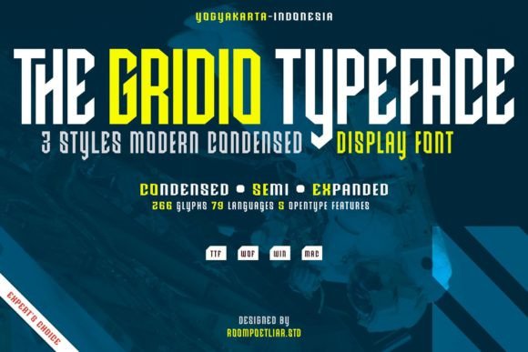 Gridio: The Futuristic Font for Bold, Modern Designs