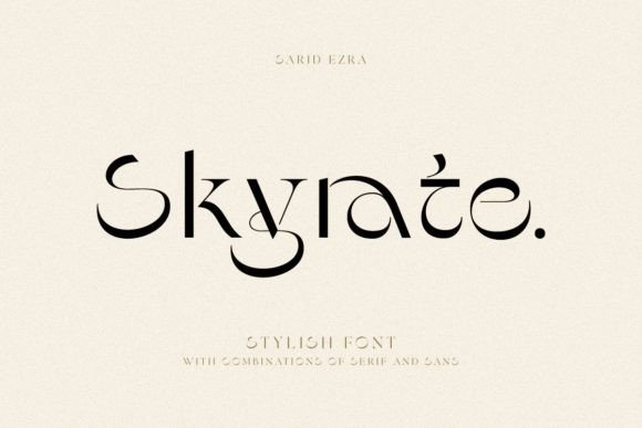 How Skyrate Can Elevate Your Branding and Design Projects