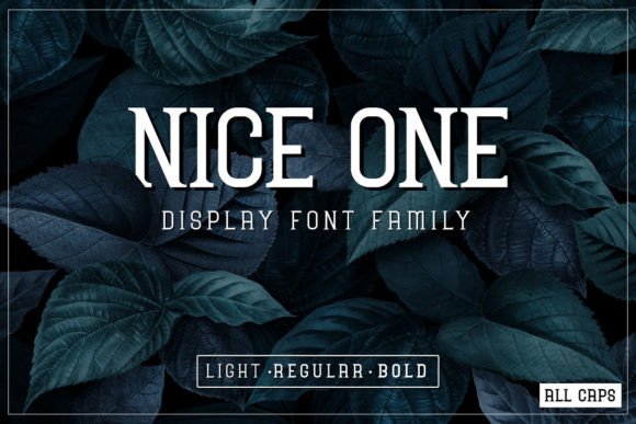 Nice One: The Cool and Modern Display Font for Every Creative Project